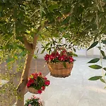 Alto Mare Villa Campomarino (Taranto)