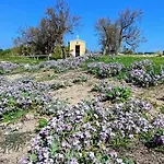 Villa Alto Mare Campomarino (Taranto)