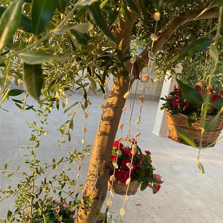 Alto Mare Campomarino (Taranto)