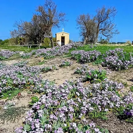 ヴィラ Alto Mare Campomarino (Taranto)